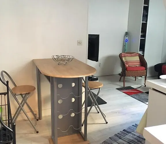 舒适度假公寓 * 巴黎